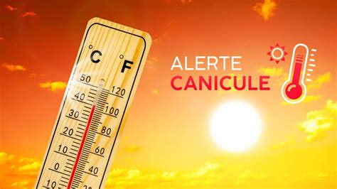 Canicule : protégez-vous !