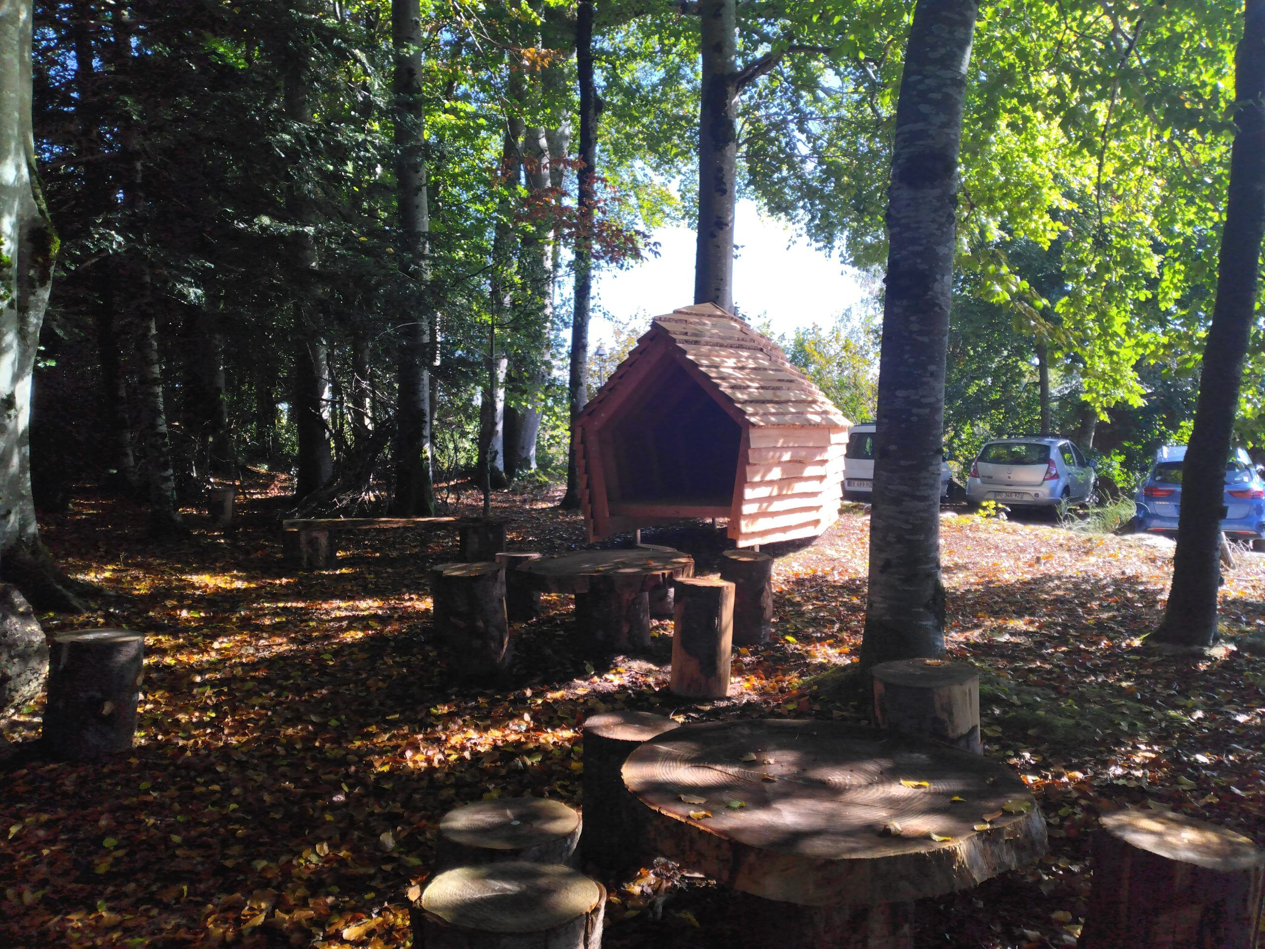 Bivouaquer dans du bois local !